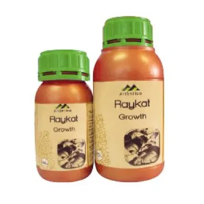 Райкат развитие