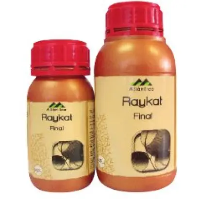 Райкат финал