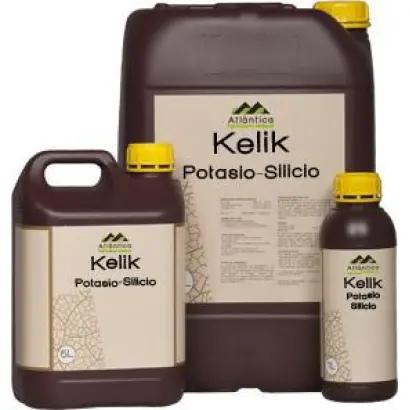 Келик Калий-Кремний