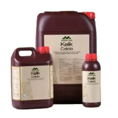 Келик Кальций