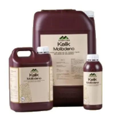 Келик Молибден