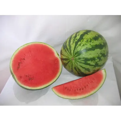 Виктория F1 / Victoria F1