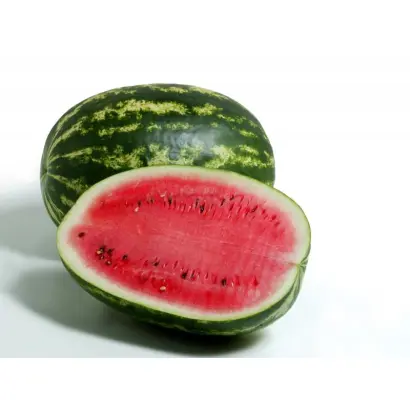 Думара F1 / Dumara F1