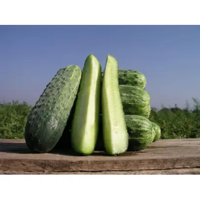 Делпина F1 / Delpina F1