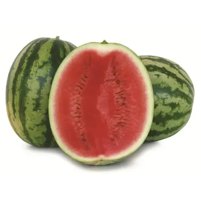 Долби F1 / Dolby F1