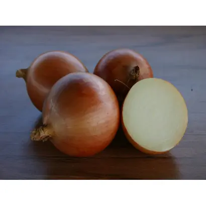 Валеро F1 / Valero F1