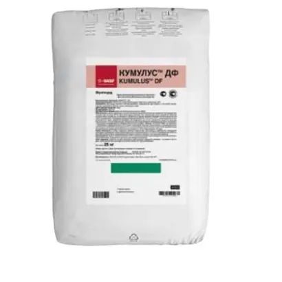 Кумулюс ДФ