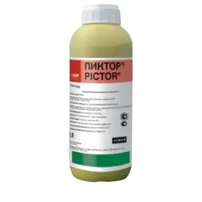 Пиктор / Pictor