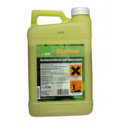 Сигнум / Signum