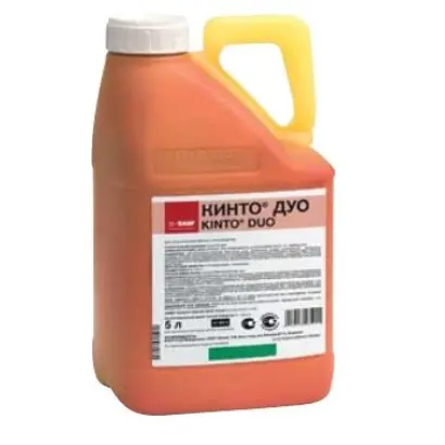 Кинто Дуо / Kinto Duo