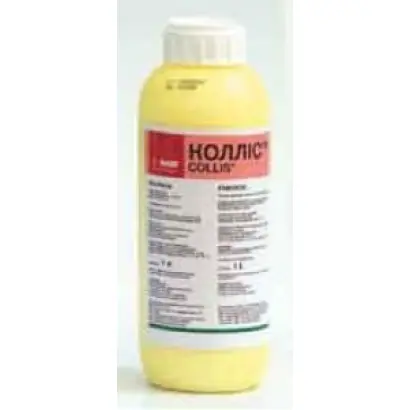 Коллис / Collis