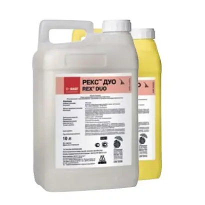 Рекс Дуо / Rex Duo