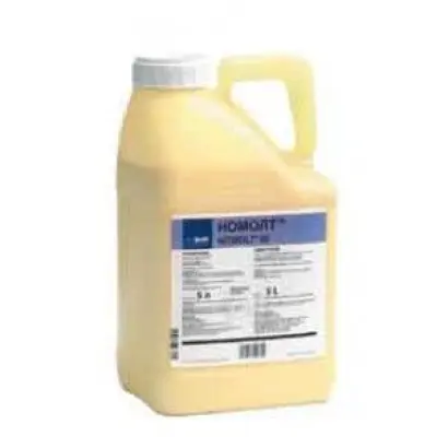 Номолт / Nomolt