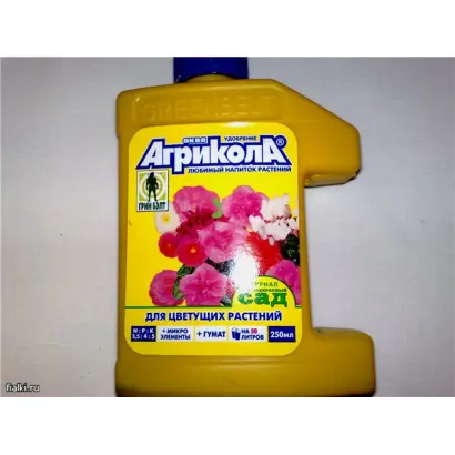 Агрикола, гр.