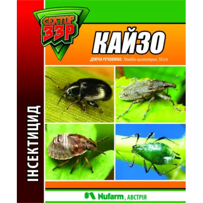 Кайзо