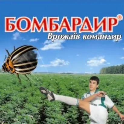 Бомбардир