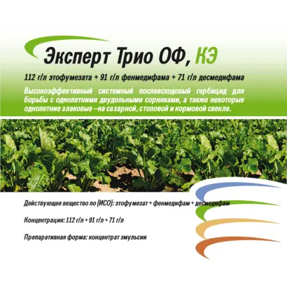 Эксперт Трио