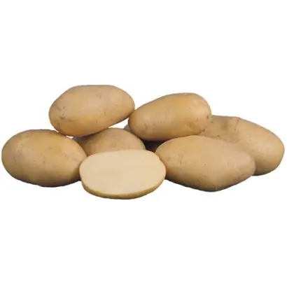 Импала / Impala