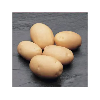 Фабула / Fabula