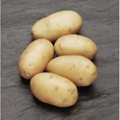 Виктория / Victoria