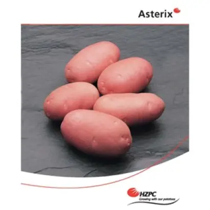 Астерикс / Asterix