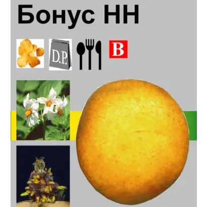 Бонус / Bonus