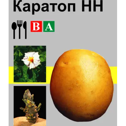 Каратоп / Karatop