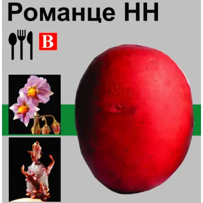 Романце / Romanze