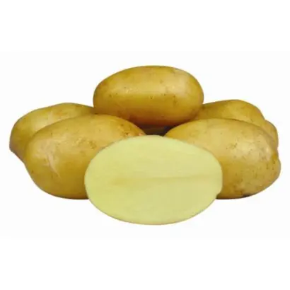 Джелли / Jelly