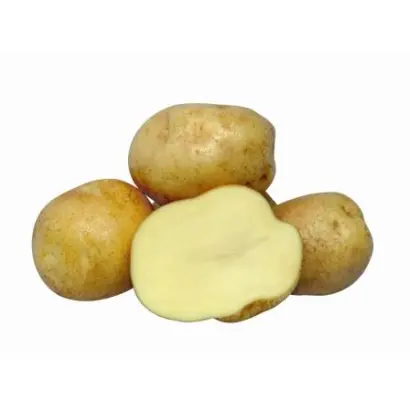 Евростарч / Eurostarch