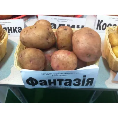 Фантазія / Фантазия