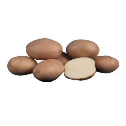 Романо / Romano