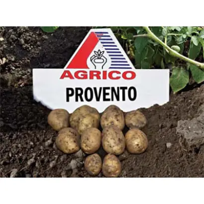Провенто / Provento