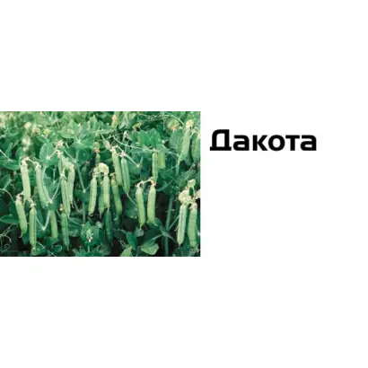 Дакота / Dacota