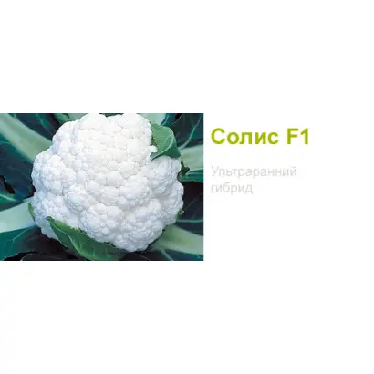 Солис F1 / Solis F1