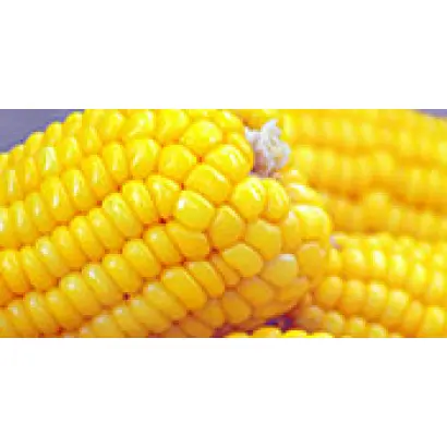 Деликатесная F1