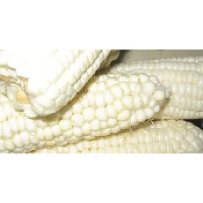 Белоснежка F1