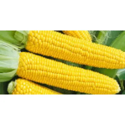 Конкурент F1