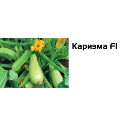 Каризма F1 / Carisma F1