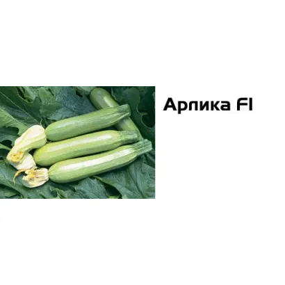 Арлика F1 / Arlika F1