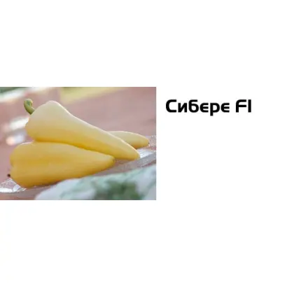 Сибере F1