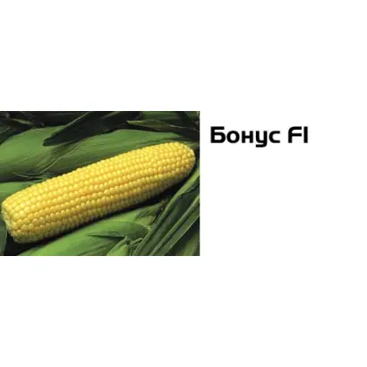 Бонус F1 / Bonus F1