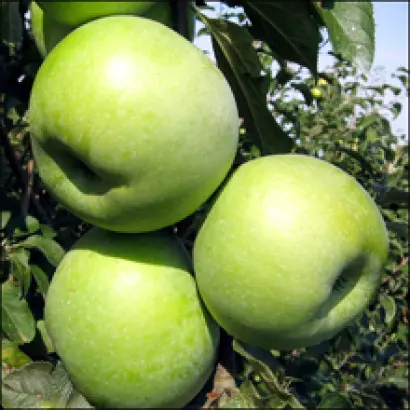 Симиренковец