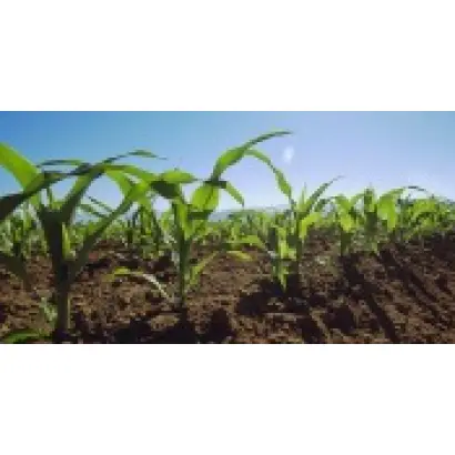 ЕС Анамур / ES Anamur