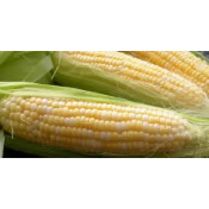 ЕС ТРИО / ES TRYO