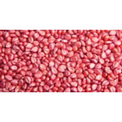 Эрли Стар / Early Star