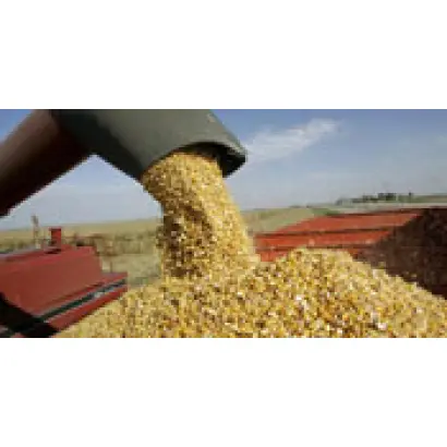 Аталис / Atalis