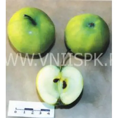 Башкирский изумруд