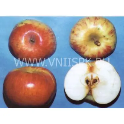 Дагомысское