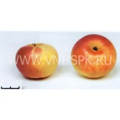  Ермаковское горное